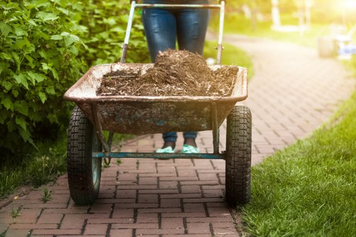Specialized house clearance services